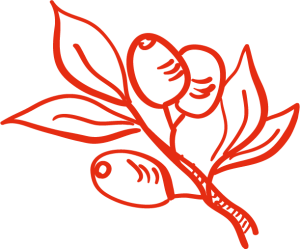 De.Momento - eventos gastronômicos em Portugal, experiência gastronômica exclusiva, eventos particulares Portugal, menu sazonal Portugal, chef em casa Portugal. Original